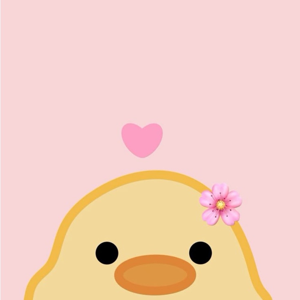 Meet your Posher, Ana